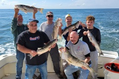 Screenshot_20231012_054428_Gallery