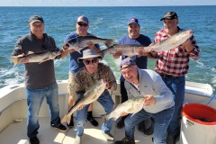 Screenshot_20231013_054109_Gallery