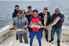 Screenshot_20231015_055044_Gallery