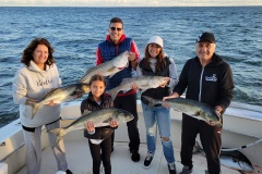 Screenshot_20231024_054731_Gallery