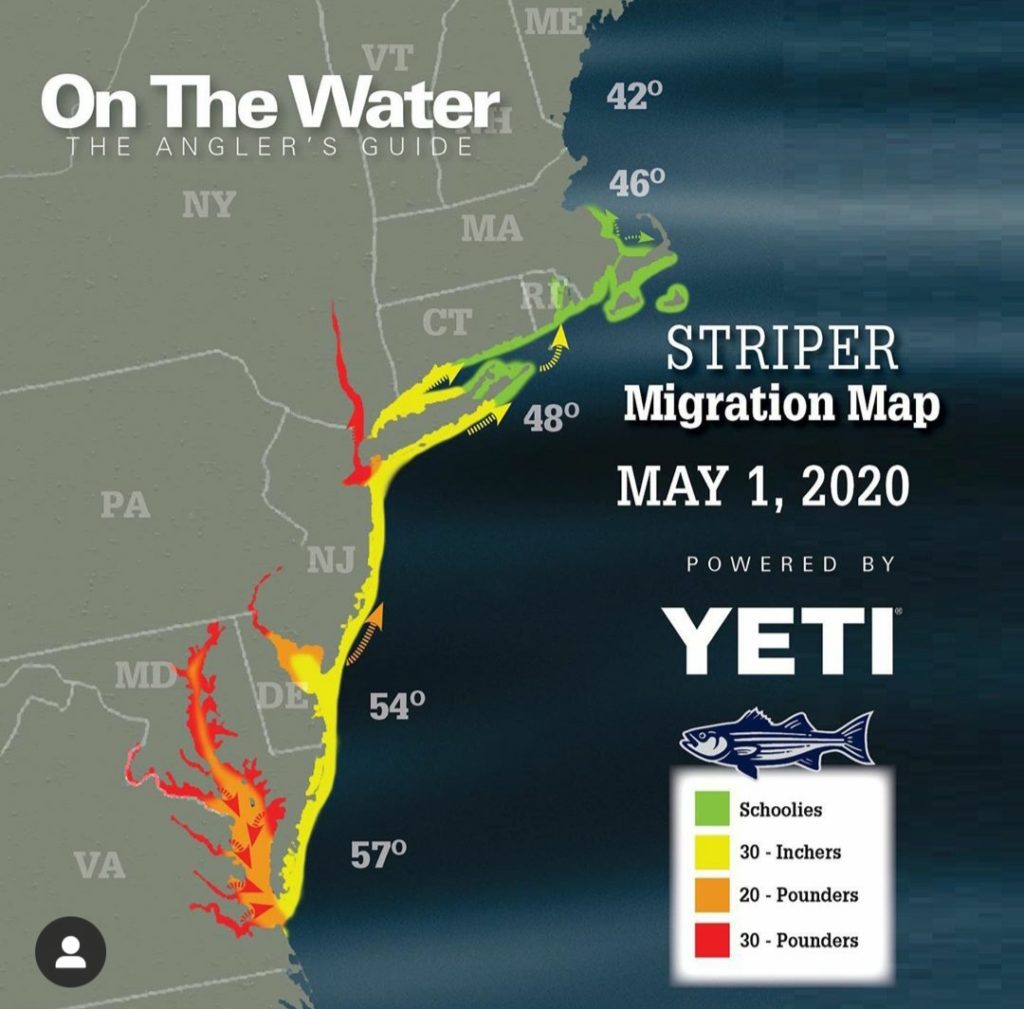 Connecticut Fishing Report 5/2/20