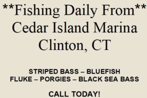 CT Fishing Charters Fishing Charters Connecticut 